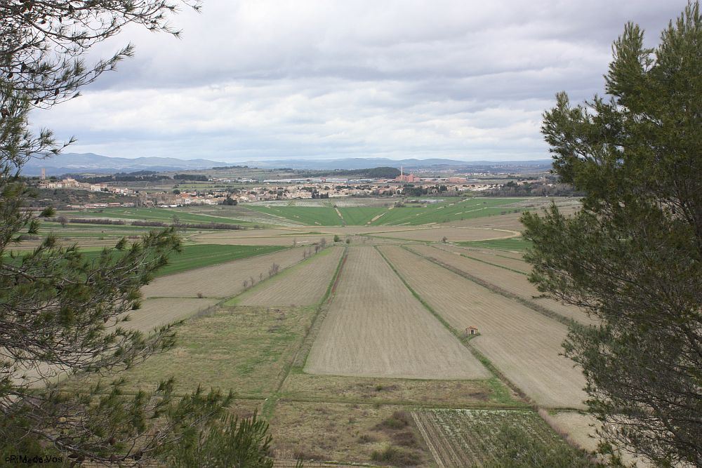 Etang de Montady