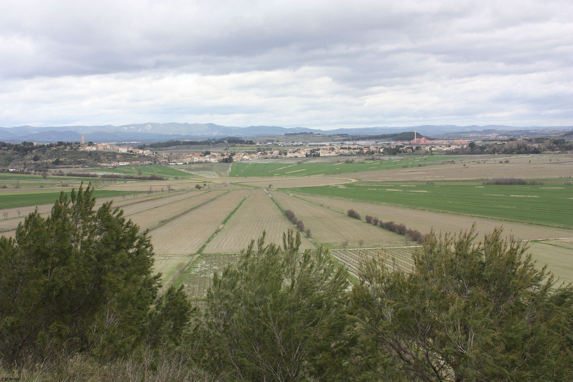 Etang de Montady