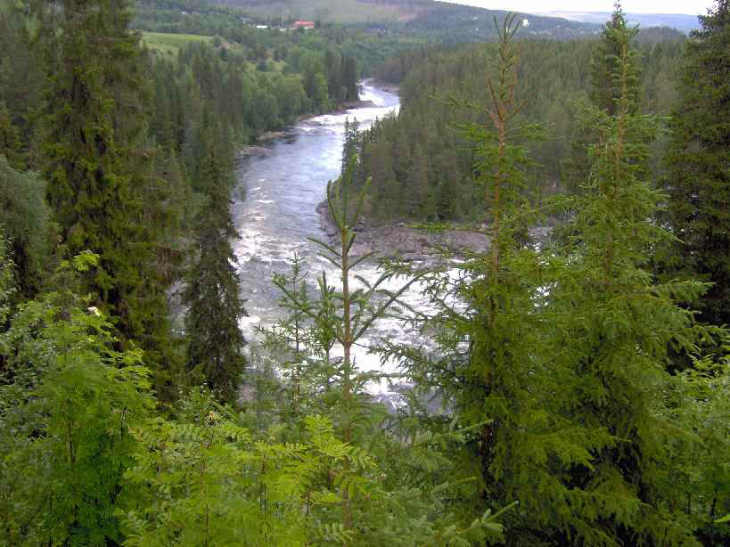 480 - Stroomversnellingen n de waterval