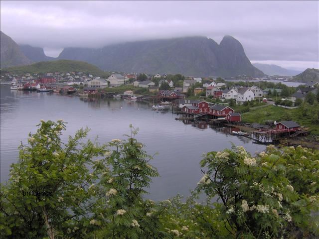 Reine