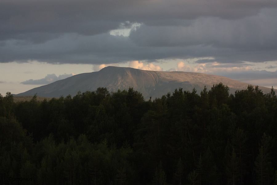 De Sonfjället